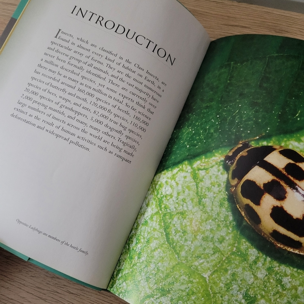 ⭐️ A Pocket Guide to Insects - Picture 5 of 5